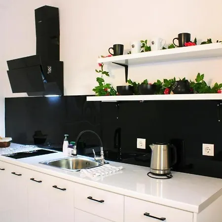 Alegria Apartment *